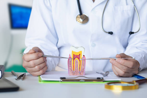 Best Emergency Wisdom Teeth Removal in New City, NY